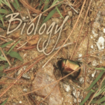 NCERT CLASS 11 BIOLOGY